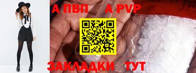 крисы Кингисепп