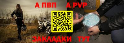 крисы Кингисепп