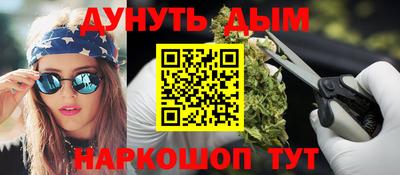 крисы Кингисепп