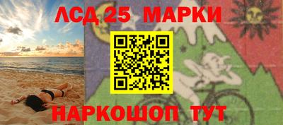 крисы Кингисепп