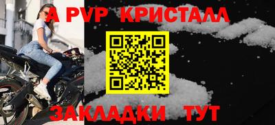 крисы Кингисепп