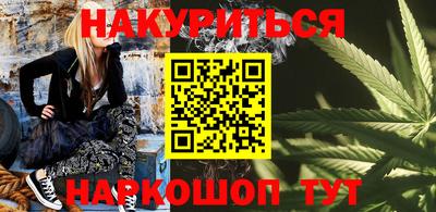 крисы Кингисепп