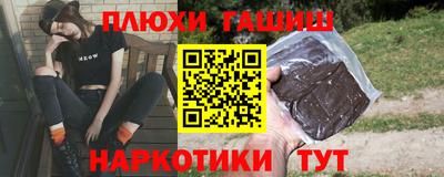 крисы Кингисепп