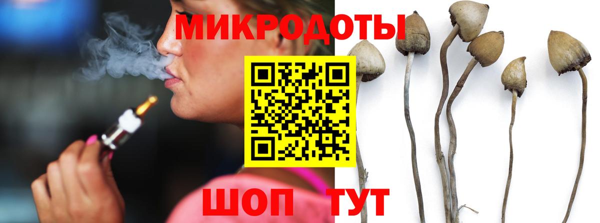Псилоцибиновые грибы GOLDEN TEACHER Кудрово